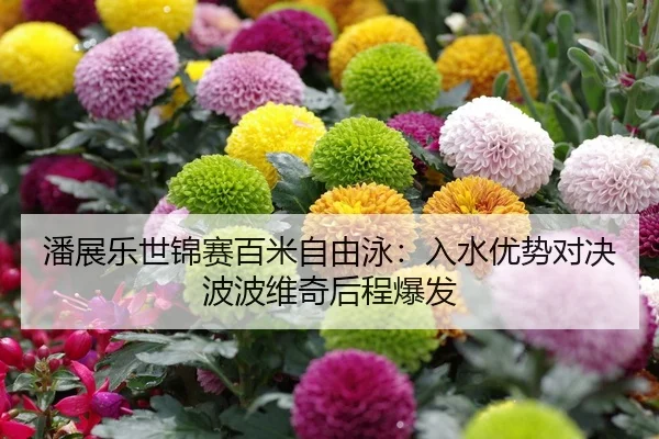 潘展乐世锦赛百米自由泳：入水优势对决波波维奇后程爆发