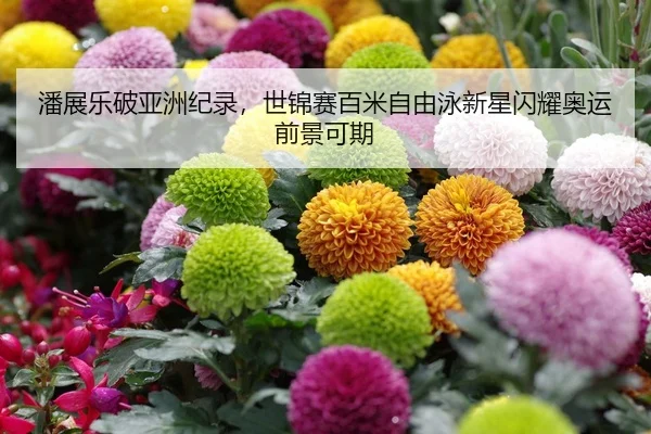 潘展乐破亚洲纪录，世锦赛百米自由泳新星闪耀奥运前景可期