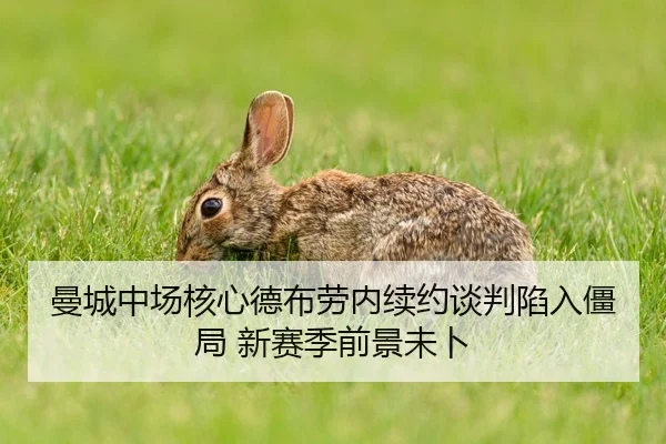 曼城中场核心德布劳内续约谈判陷入僵局 新赛季前景未卜