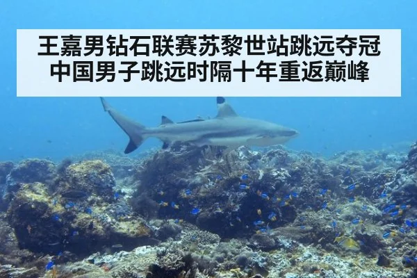 王嘉男钻石联赛苏黎世站跳远夺冠 中国男子跳远时隔十年重返巅峰